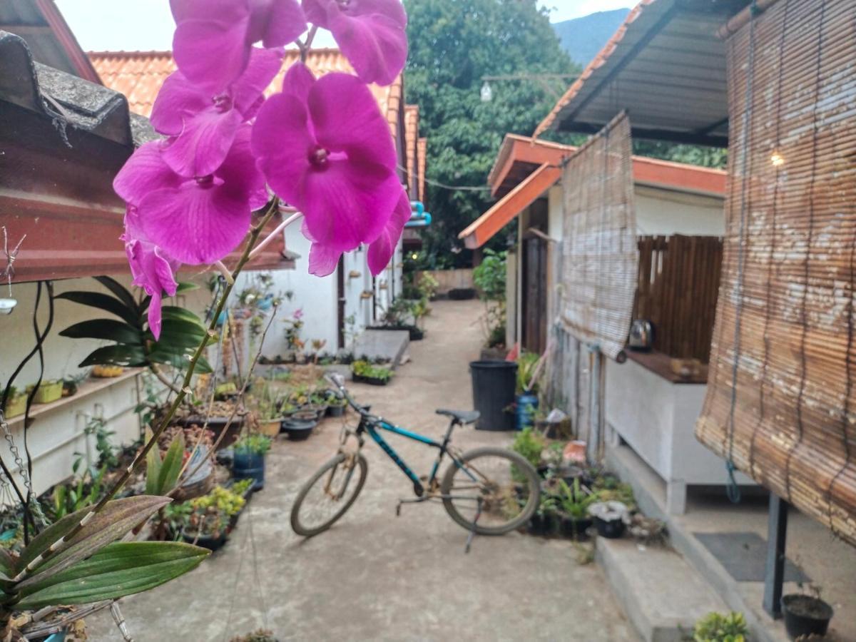 Pdv Guesthouse Muang Ngoi Εξωτερικό φωτογραφία